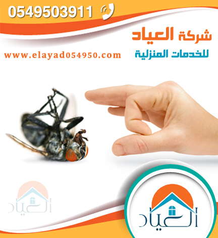 شركة مكافحة حشرات بينبع