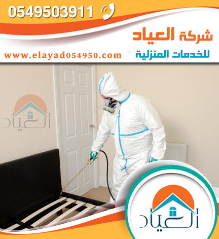 شركة مكافحة حشرات بالمدينة المنورة