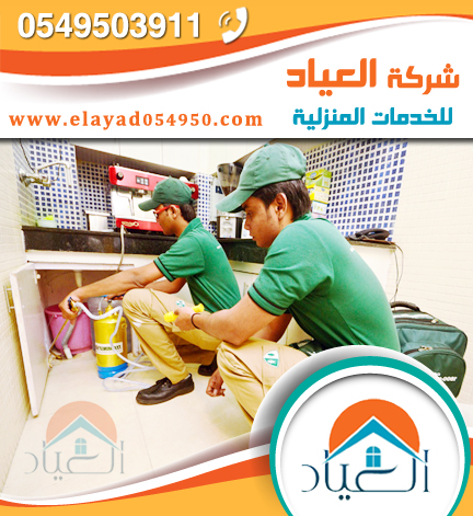 شركة مكافحة حشرات بجده شركة مكافحة حشرات بجده