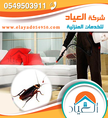 شركة مكافحة حشرات بجده