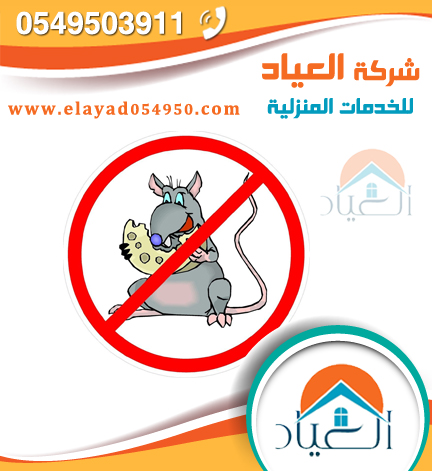 شركة مكافحة حشرات بجده